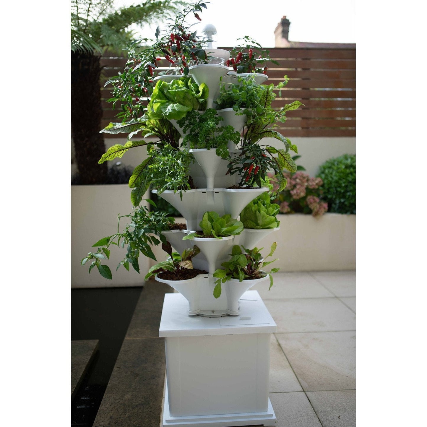 Acqua Garden - Self-Watering Vertical Growing System - AcquaGarden