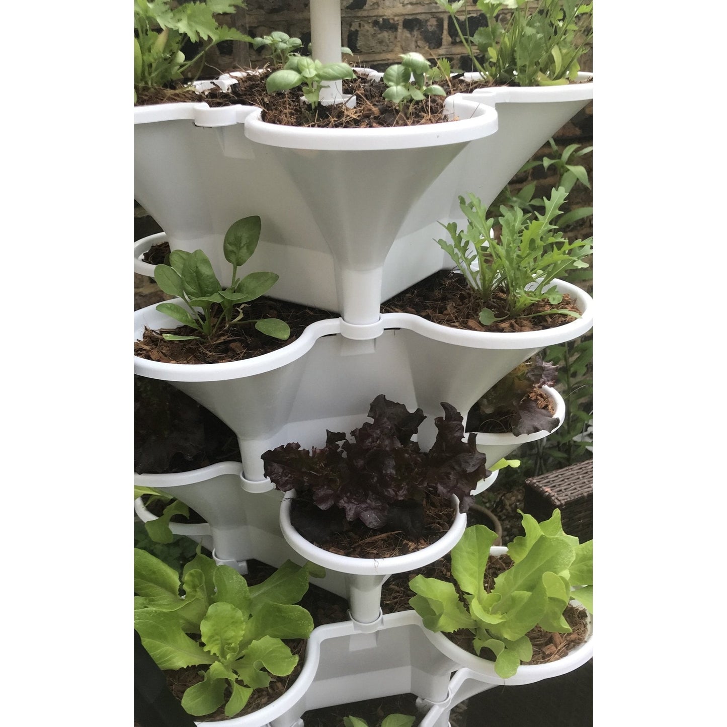 Acqua Garden - Self-Watering Vertical Growing System - AcquaGarden