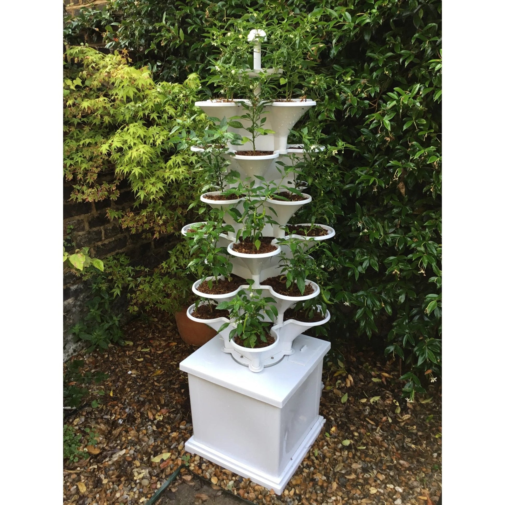plant tower self watering Acqua Garden