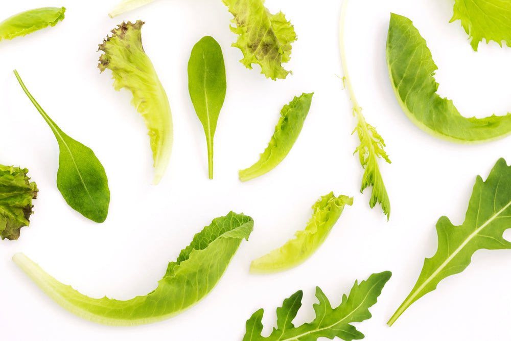 Baby Leaves 'Oriental Mix' - 6 x Plug Plant Pack - AcquaGarden