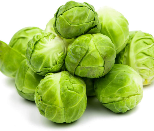 Brussels Sprouts - Brigitte - 18 x Plug Plant Pack - AcquaGarden