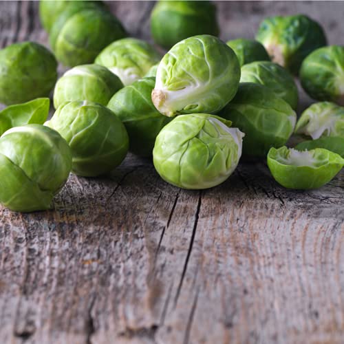 Brussels Sprouts 'Churchill' - 12 x Seed Pack - AcquaGarden