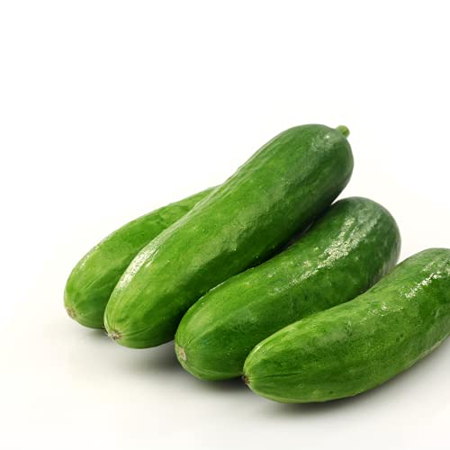 Cucumber 'Petita' - 3 x Large Plants in 9cm Pots - AcquaGarden