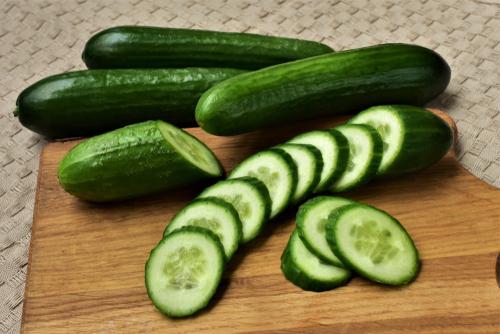 Cucumber 'Tribute' - 18 x Plug Plant Pack - AcquaGarden