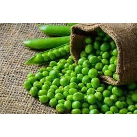 Peas - Petit Pois - 18 x Plug Plant Pack - AcquaGarden