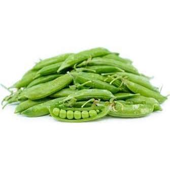 Peas - Sugar Snap - 12 x Plant Pack - AcquaGarden