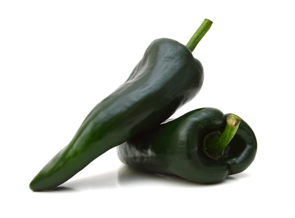 Chilli Plants - 'Poblano' - 6 x Plug Plant Pack