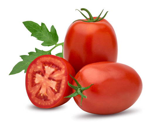 Tomato Plants - 'Plum Roma' - 4 x Large Plants in 9cm Pots