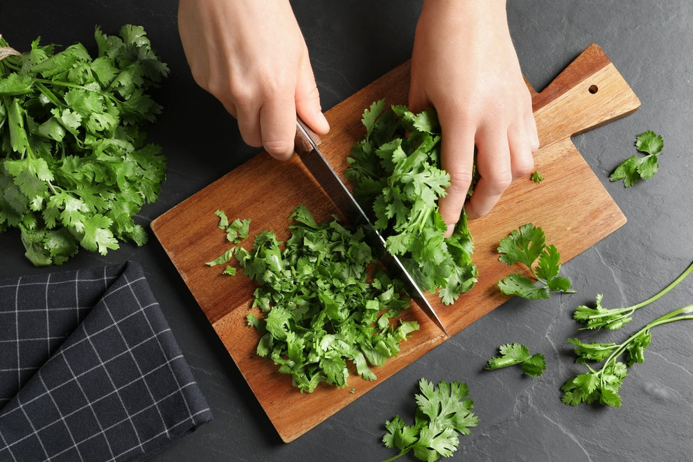 Herb Plants - Coriander - 1 x Full Plant in a 9cm Pot