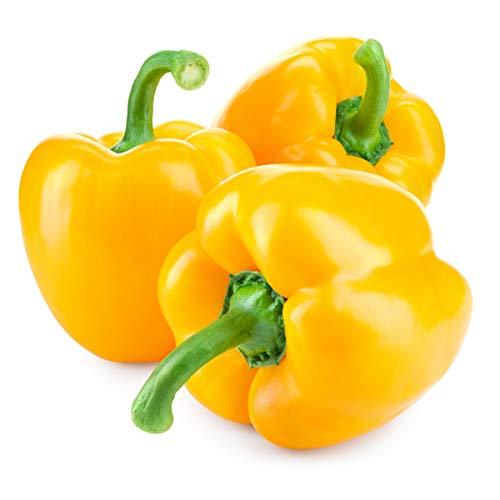 Sweet Pepper 'D'Asti Giallo Yellow' - 12 x Plug Plant Pack - AcquaGarden