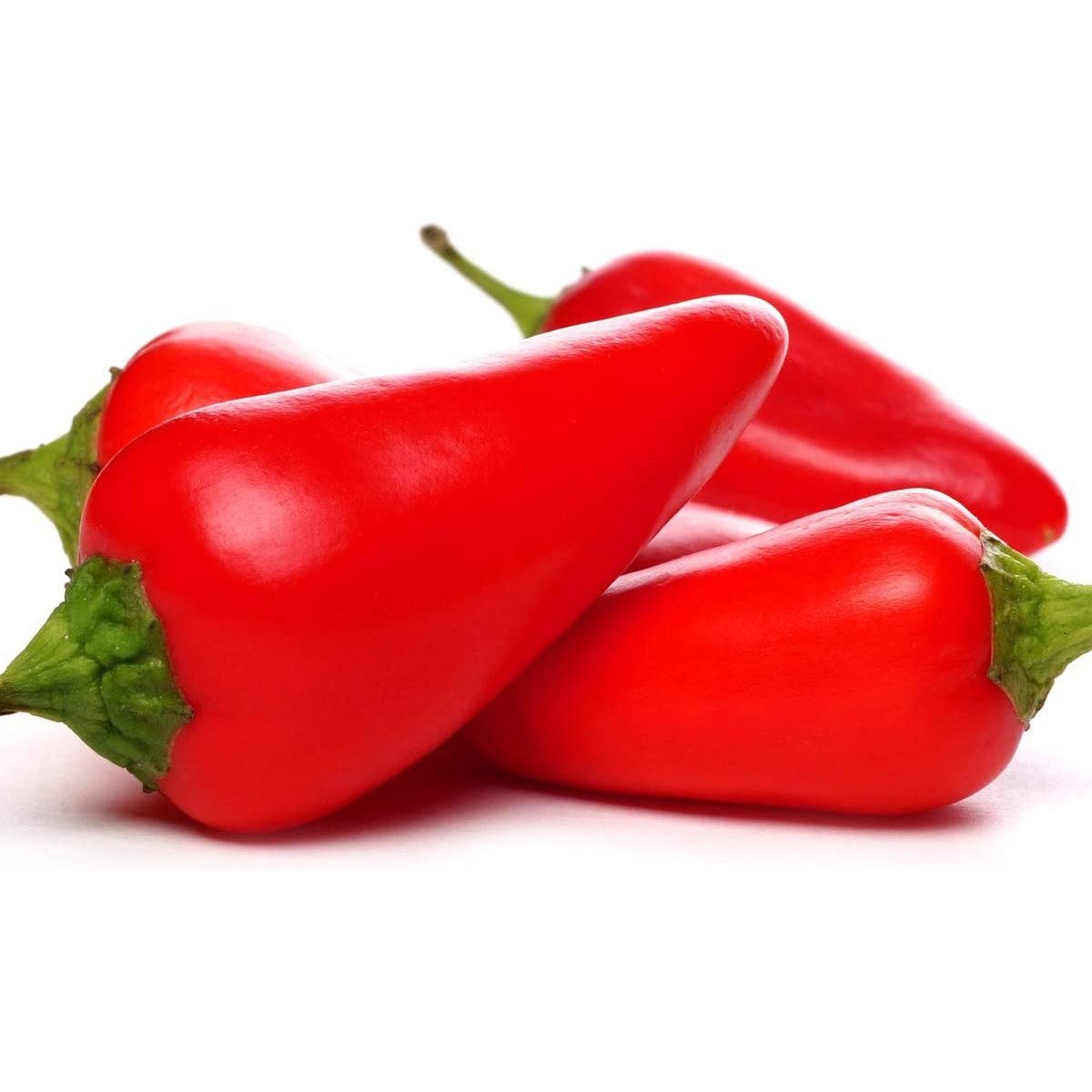 Sweet Pepper - Snack Bite Red - 18 x Plug Plant Pack - AcquaGarden