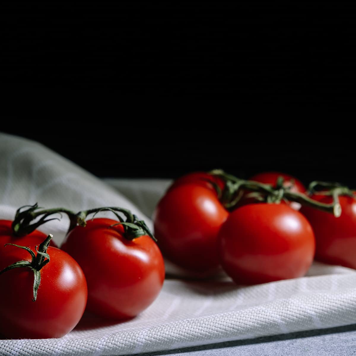 Tomato 'F1 Moneymaker' - 6 x Full Plant Pack - AcquaGarden